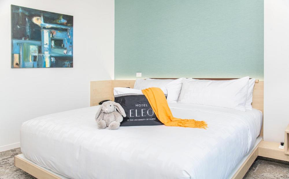 Deluxe King Room interior